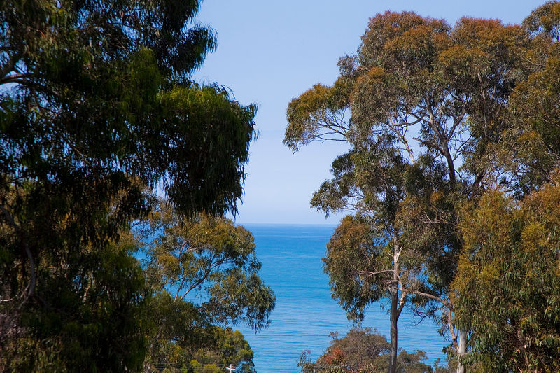 3/11-13 Belvedere Terrace, Lorne, VIC, Lorne - Thumbnail 8