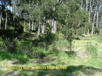 35 Penzance Place, ACACIA HILLS, Acacia Hills - Thumbnail 6