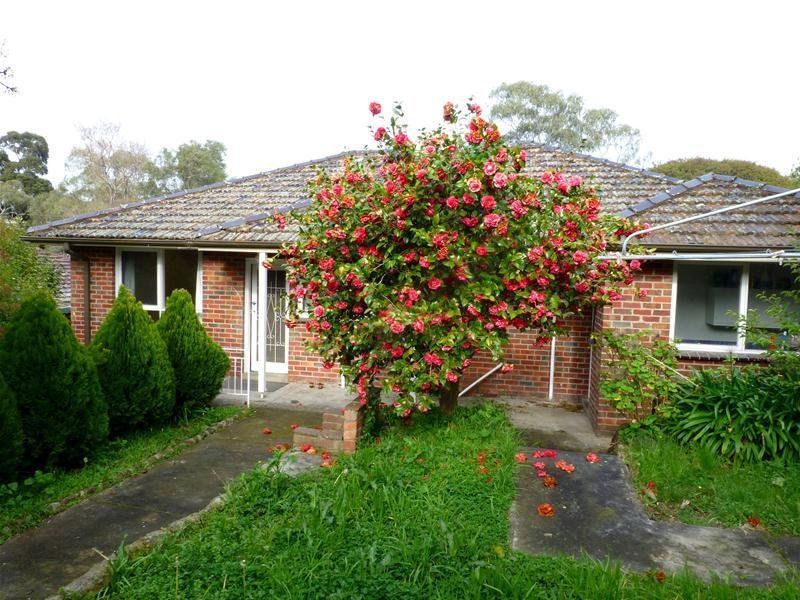 Great Vale Family Home