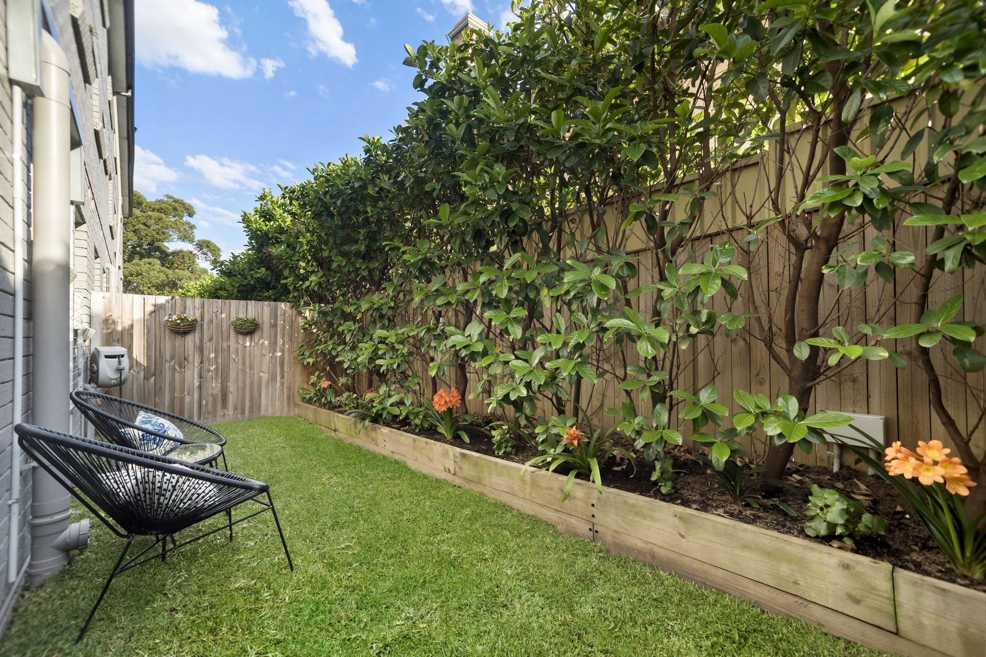 Real Estate For Sale 1 13 Dover Street Summer Hill Nsw