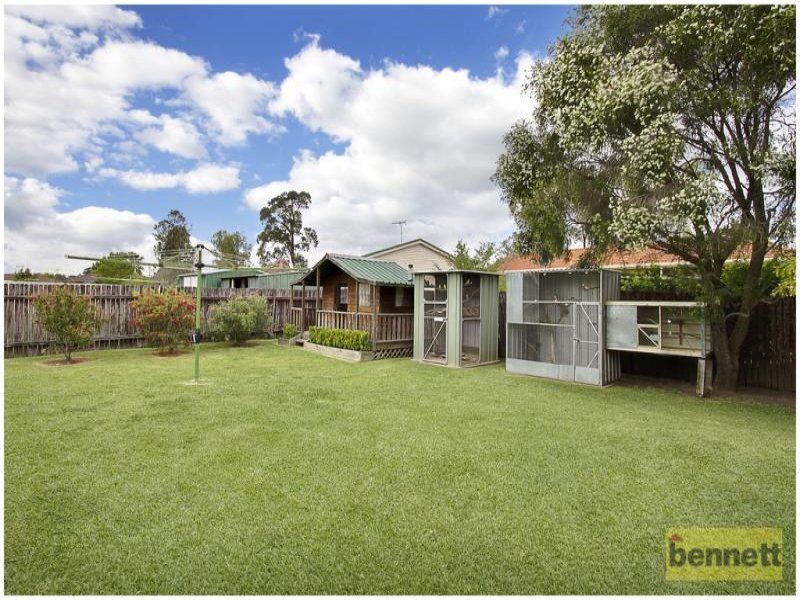 43 Porpoise Crescent, Bligh Park - Thumbnail 3