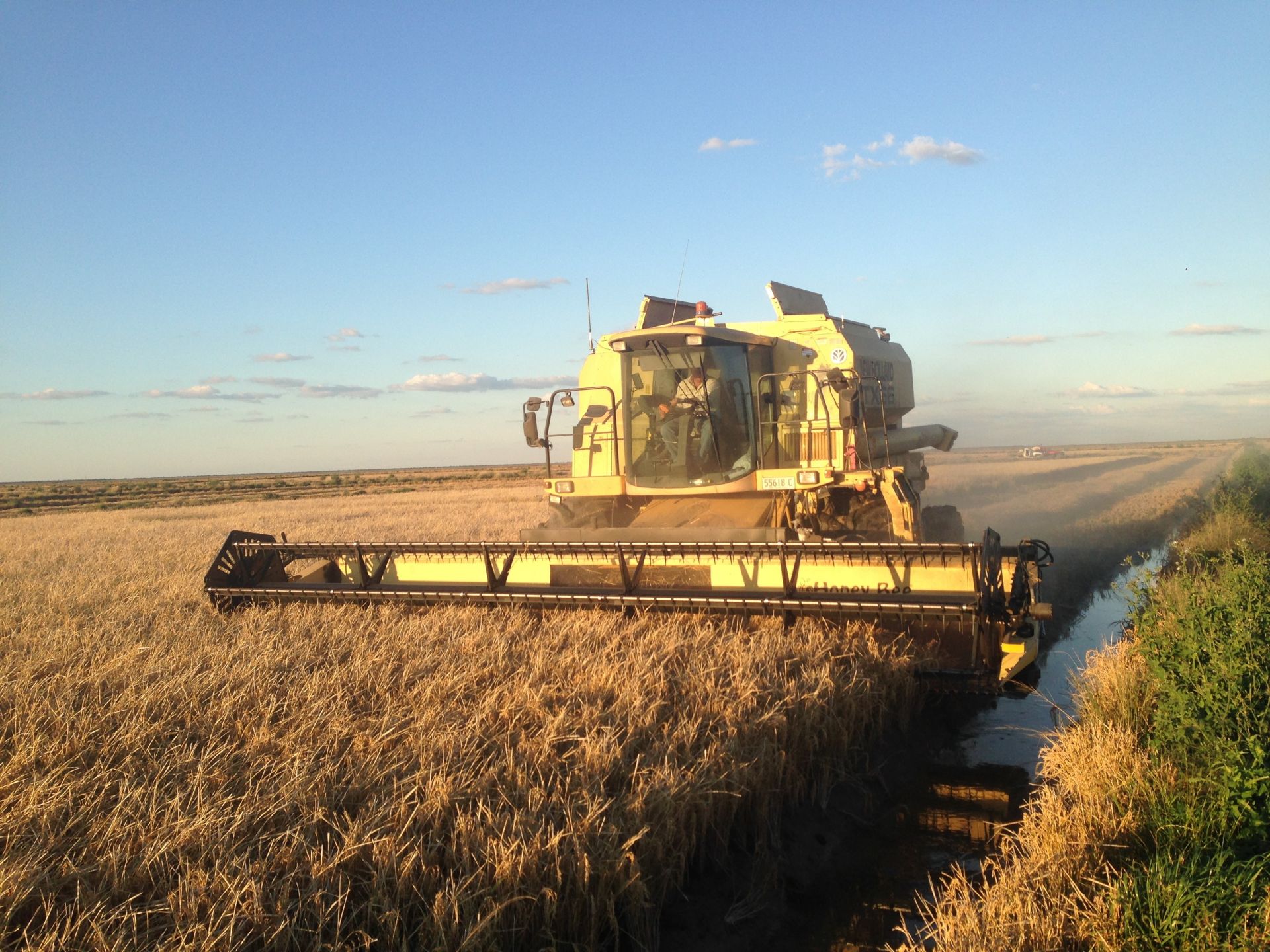 Cobb Highway, Hay, Hay - Thumbnail 7