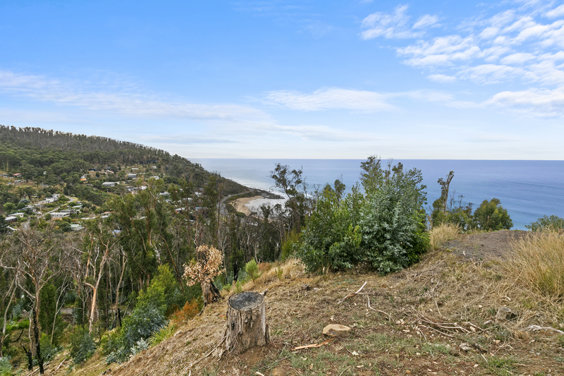 8 Dunoon Road, Wye River, VIC, Wye River - Thumbnail 4