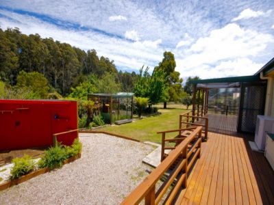 2 Winifred Avenue, ACACIA HILLS, Acacia Hills - Thumbnail 7