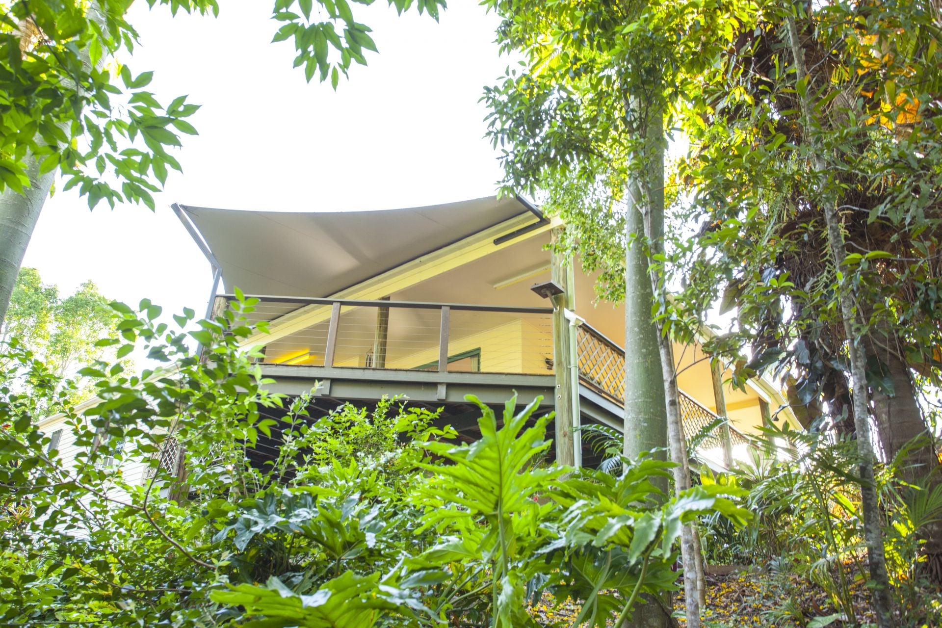 17 Mango Vale Court Diddillibah QLD, Diddillibah - Thumbnail 2