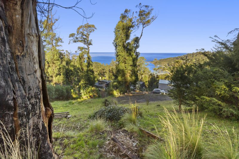 61 Karingal Drive, Wye River, VIC, Wye River - Thumbnail 4