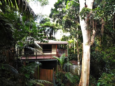 Secluded Rainforest Hideaway, Artist pad or weekender – Escape to your own sanctuary.