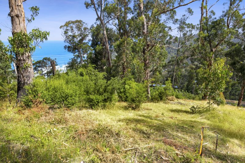 45 Karingal Drive, Wye River, VIC, Wye River - Thumbnail 3