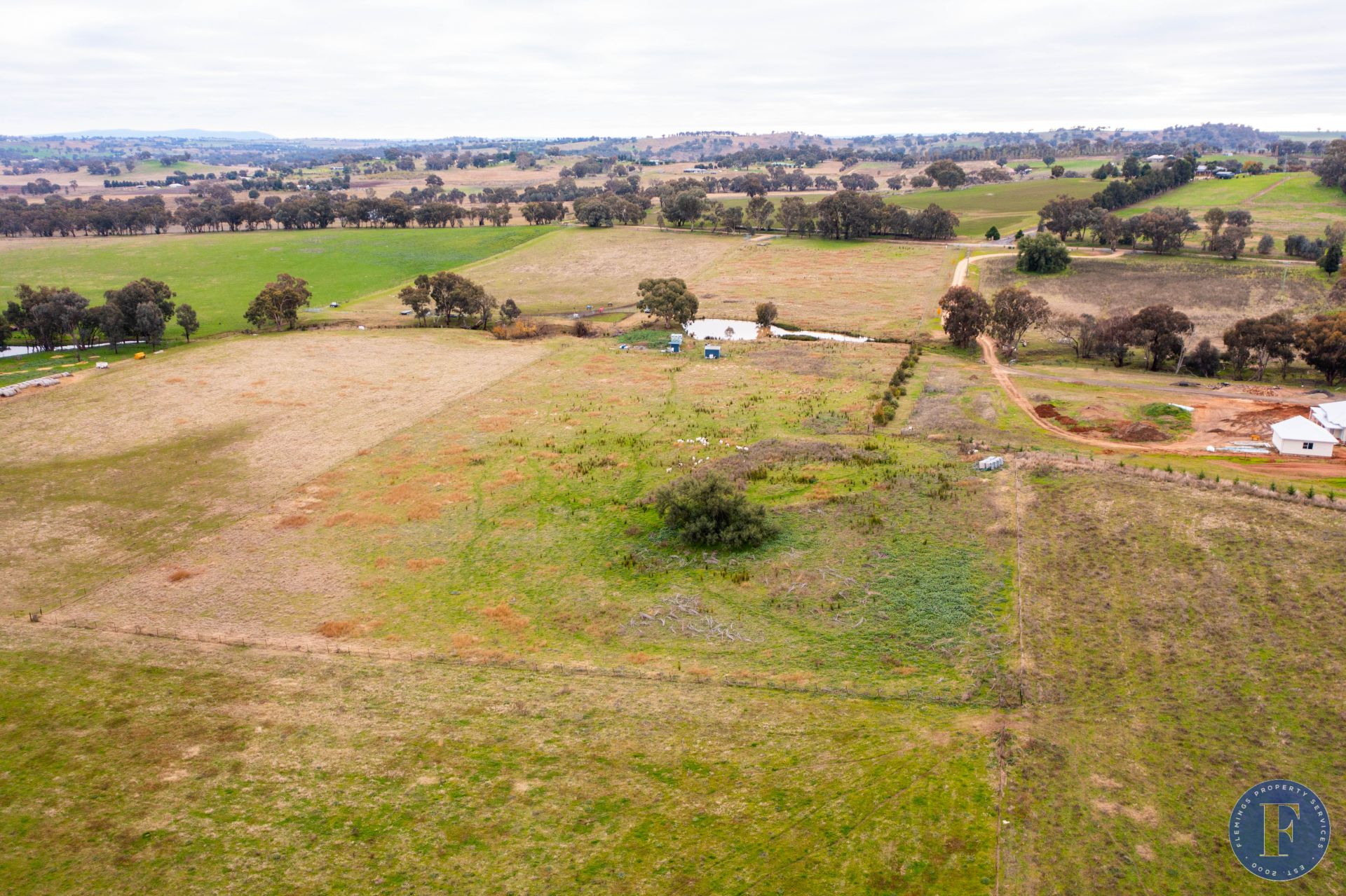 141 Forbes Lane, Young NSW, Young - Thumbnail 8