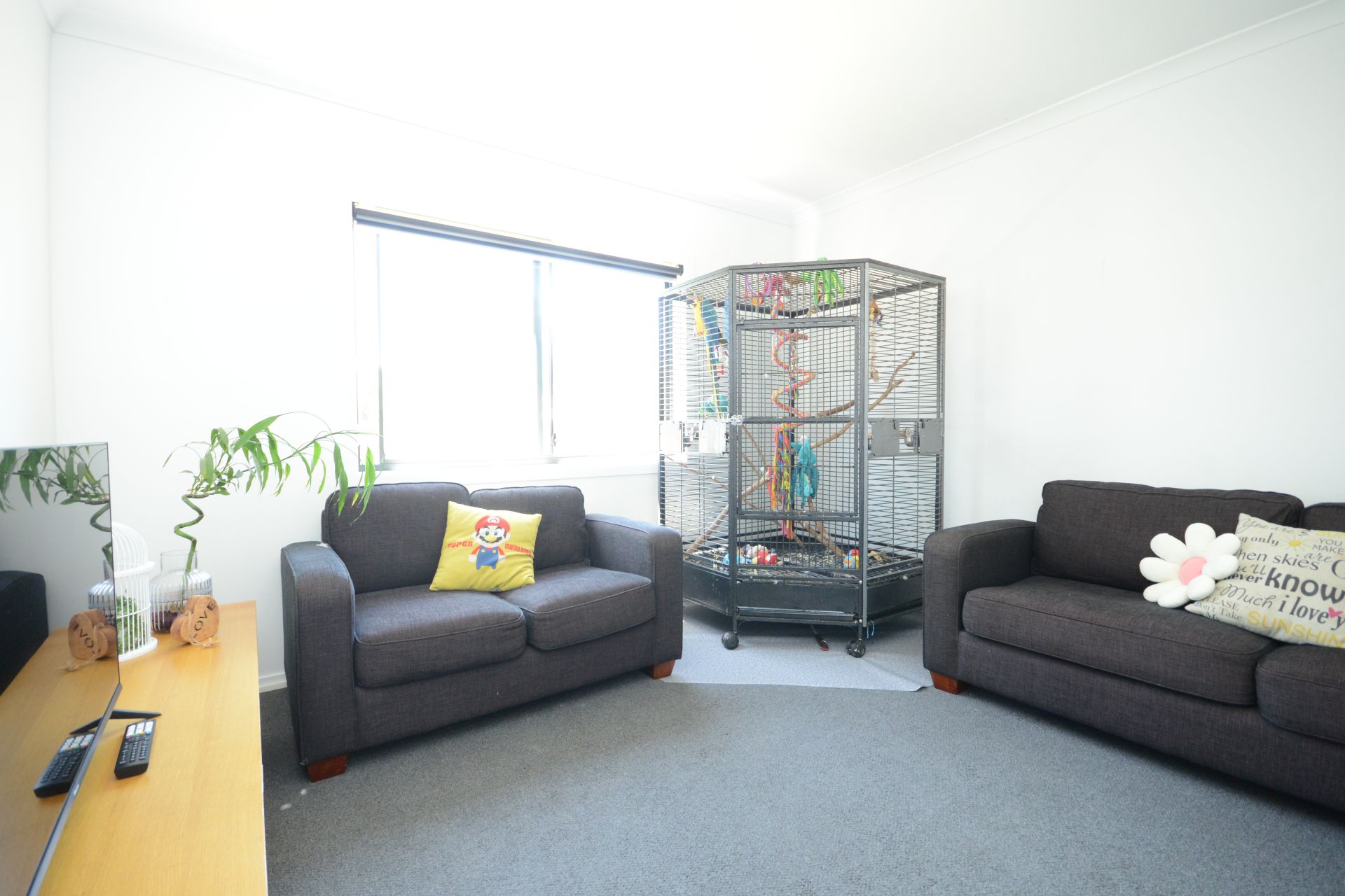 11 Dwyer Street, Wy Yung OBrien Real Estate