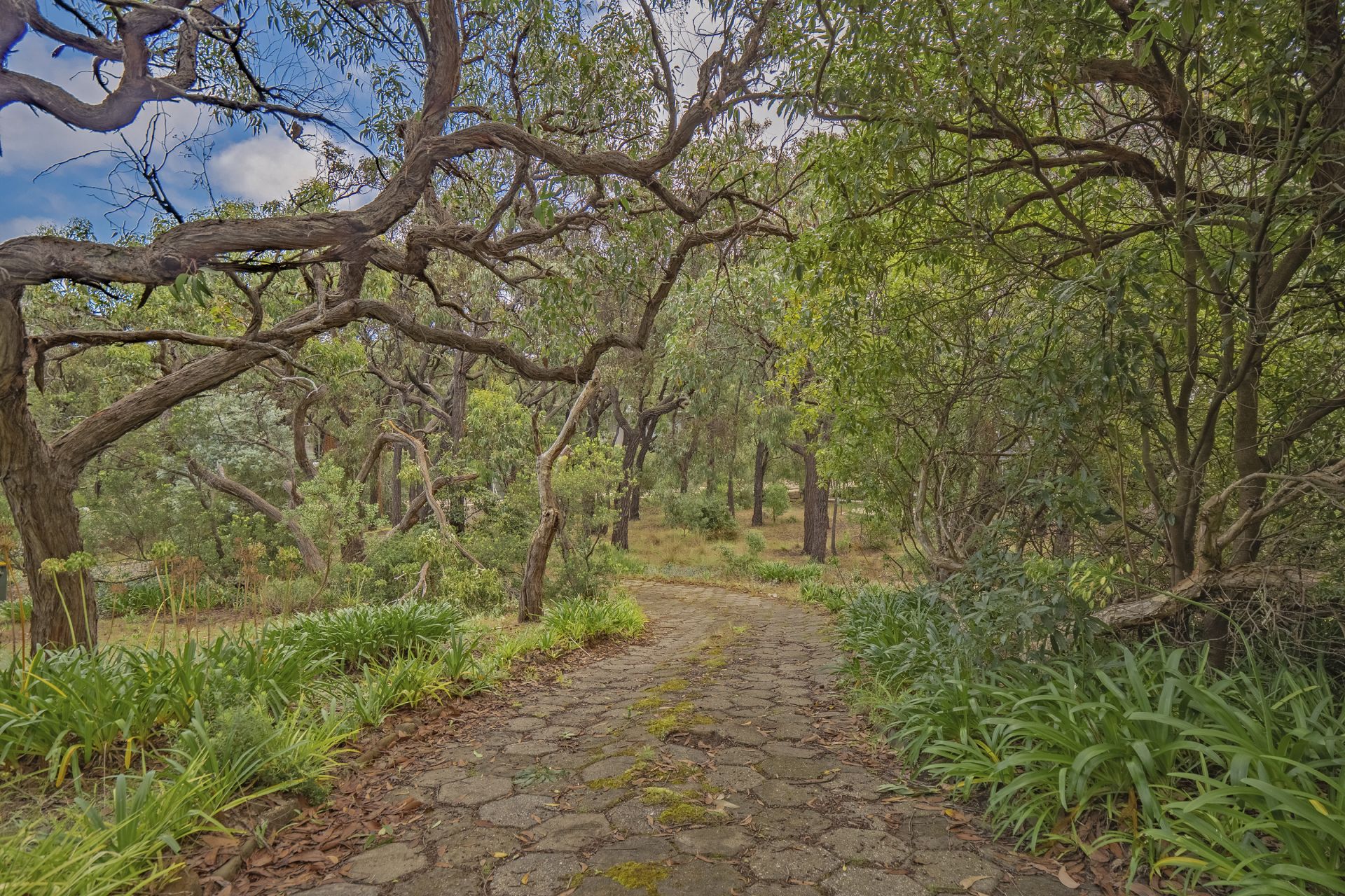 12 Yarringa Road, Fairhaven - Thumbnail 7