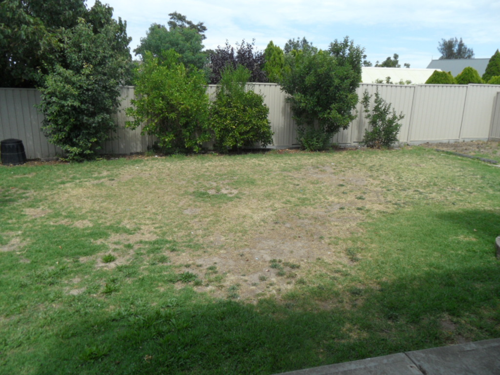 8 Shortridge Street Modbury Heights 5092