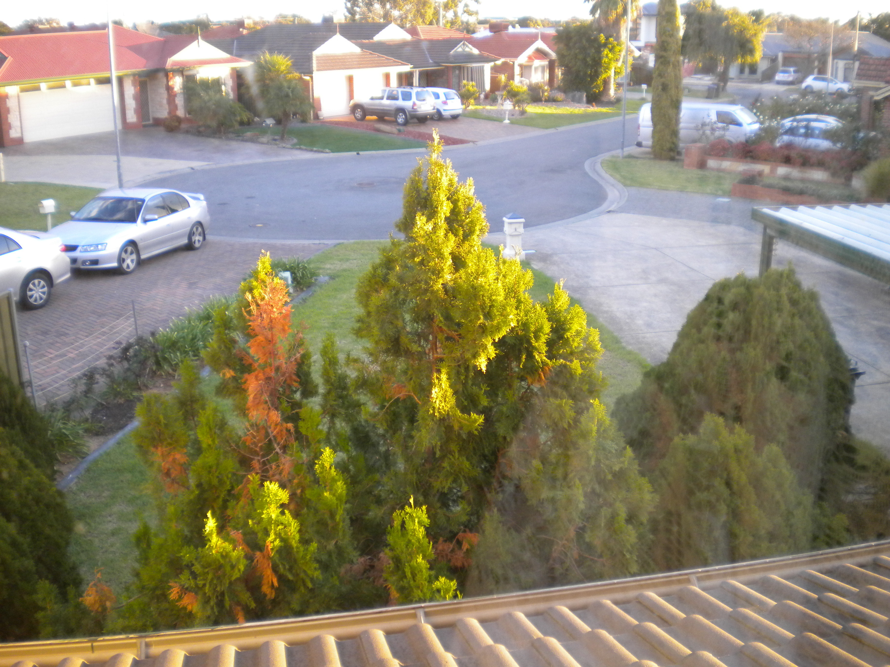 4  Wychwood Court  Findon 5023