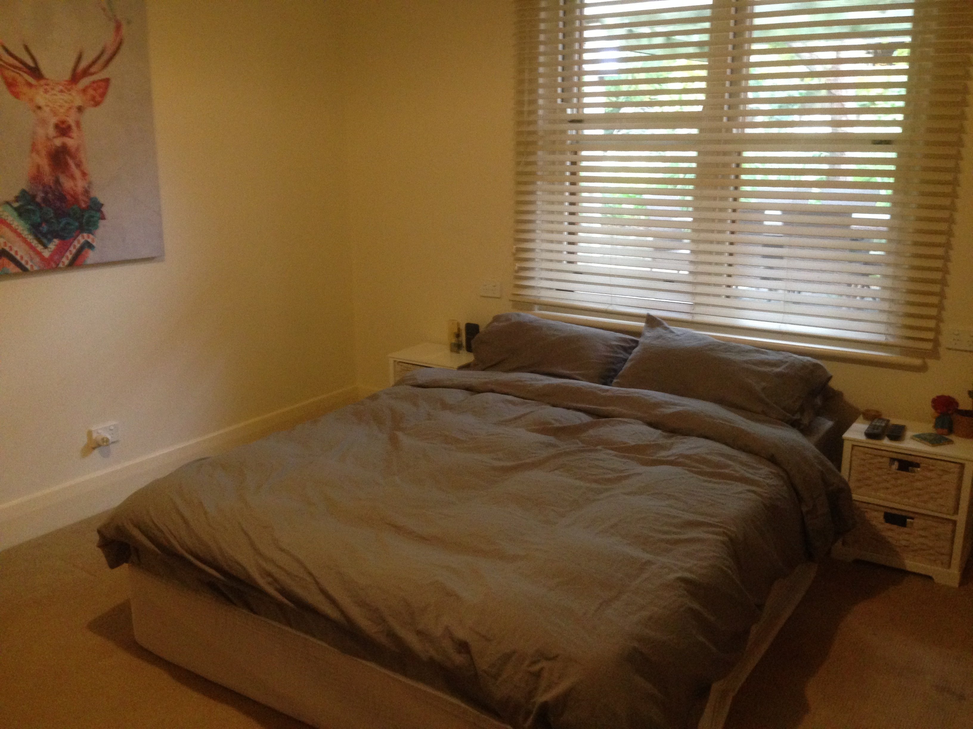 Real Estate For Lease 44 Gage Street St Morris , SA