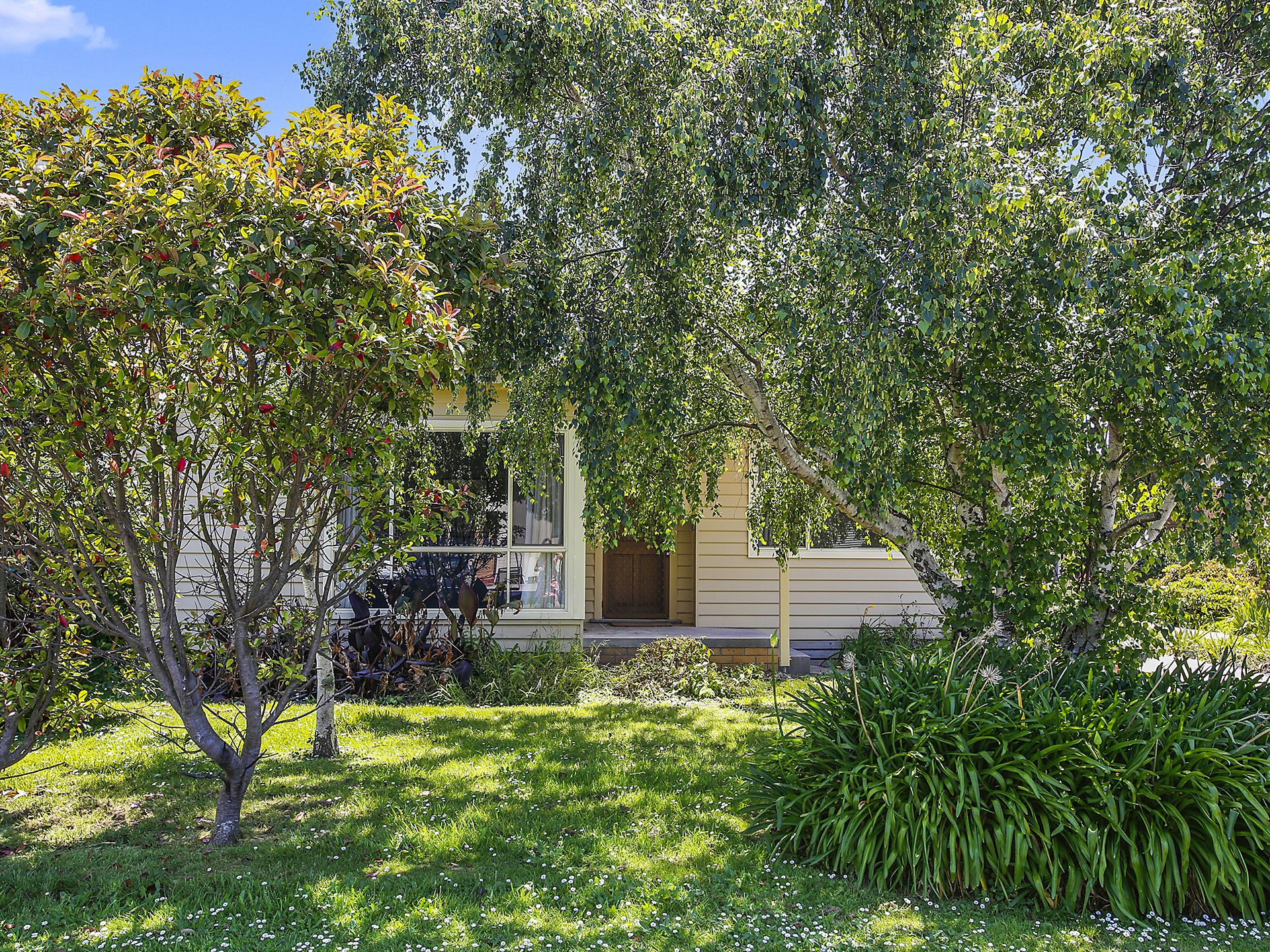 20 Martin Street, Apollo Bay - Thumbnail 8
