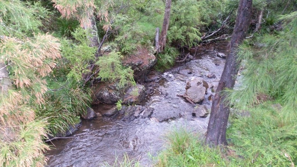 1715 Kangaroo Flat Road, YARROWITCH NSW 2354