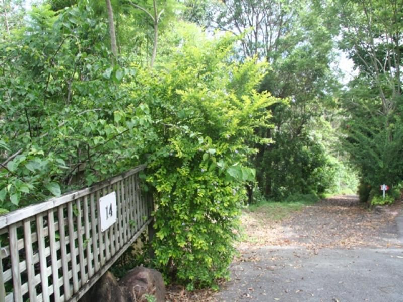 Smiths Road TINBEERWAH QLD, Tinbeerwah - Thumbnail 2