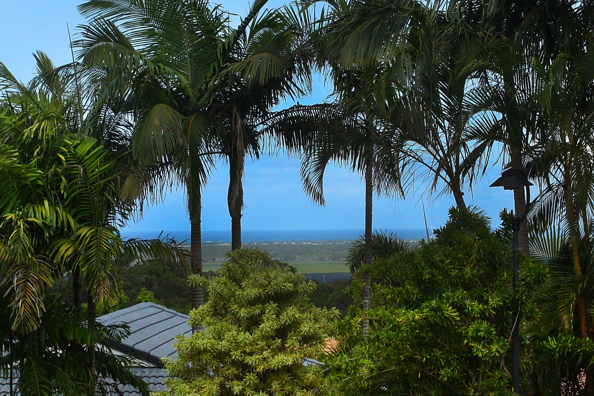 1/7 Dubois Close Buderim QLD, Buderim - Thumbnail 3