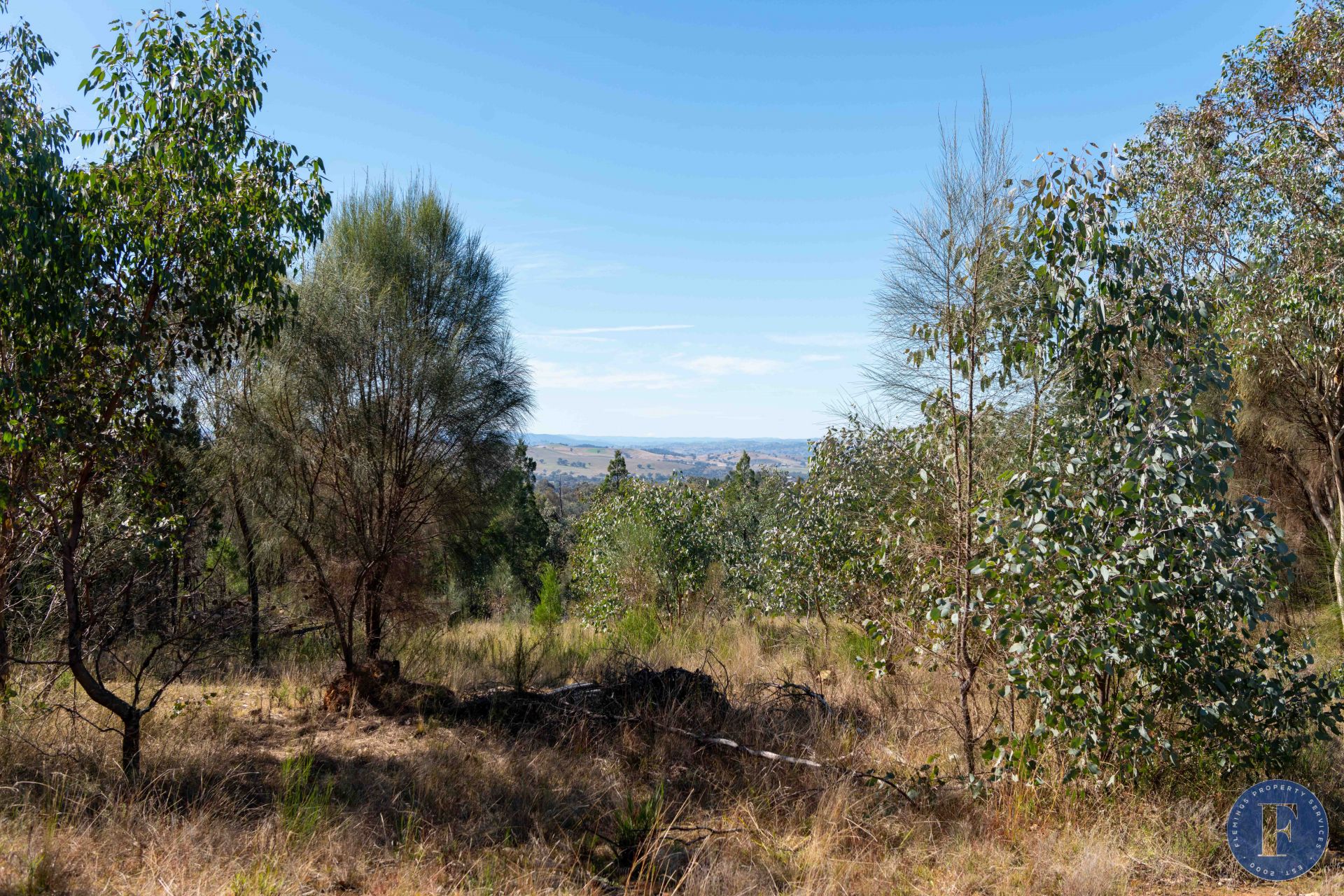 Lot 17 Carinya Estate, Godfreys Creek NSW, Godfreys Creek - Image 1