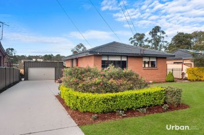 Glossodia 50 Grand Parade