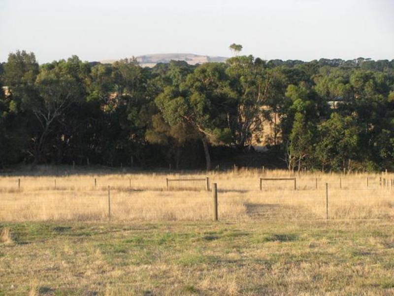 38 Ennis Street, Birregurra, VIC, Birregurra - Thumbnail 6