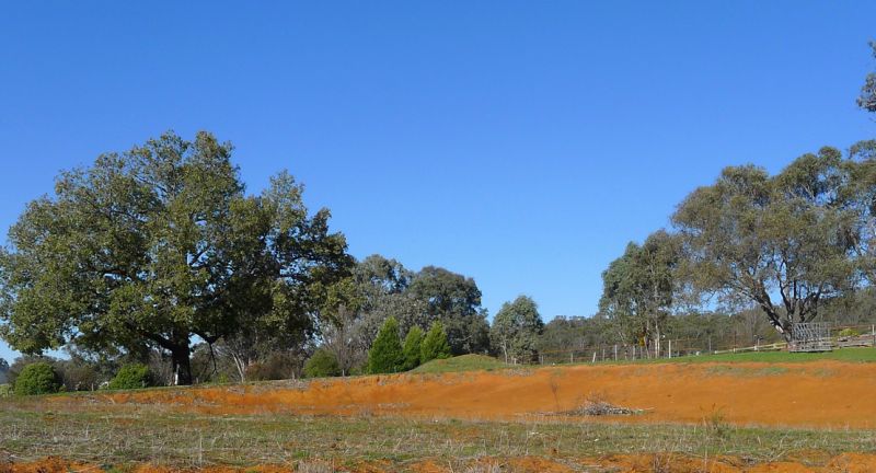 26 Pannach Lane Hamilton Valley NSW, Hamilton Valley - Thumbnail 4