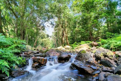 10 Glacier Road, Kamerunga