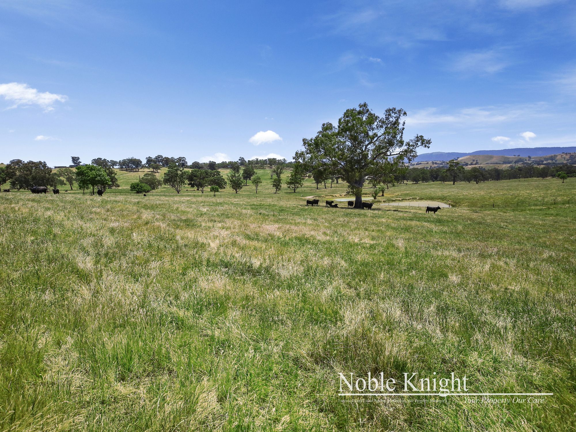 145 Racecourse Road Yea