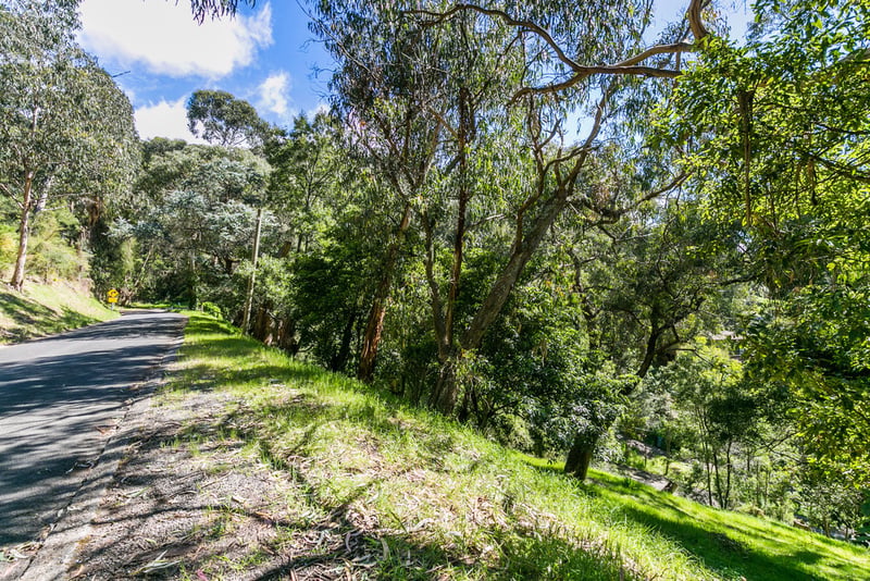 73 Polwarth Road, Lorne, VIC, Lorne - Thumbnail 5