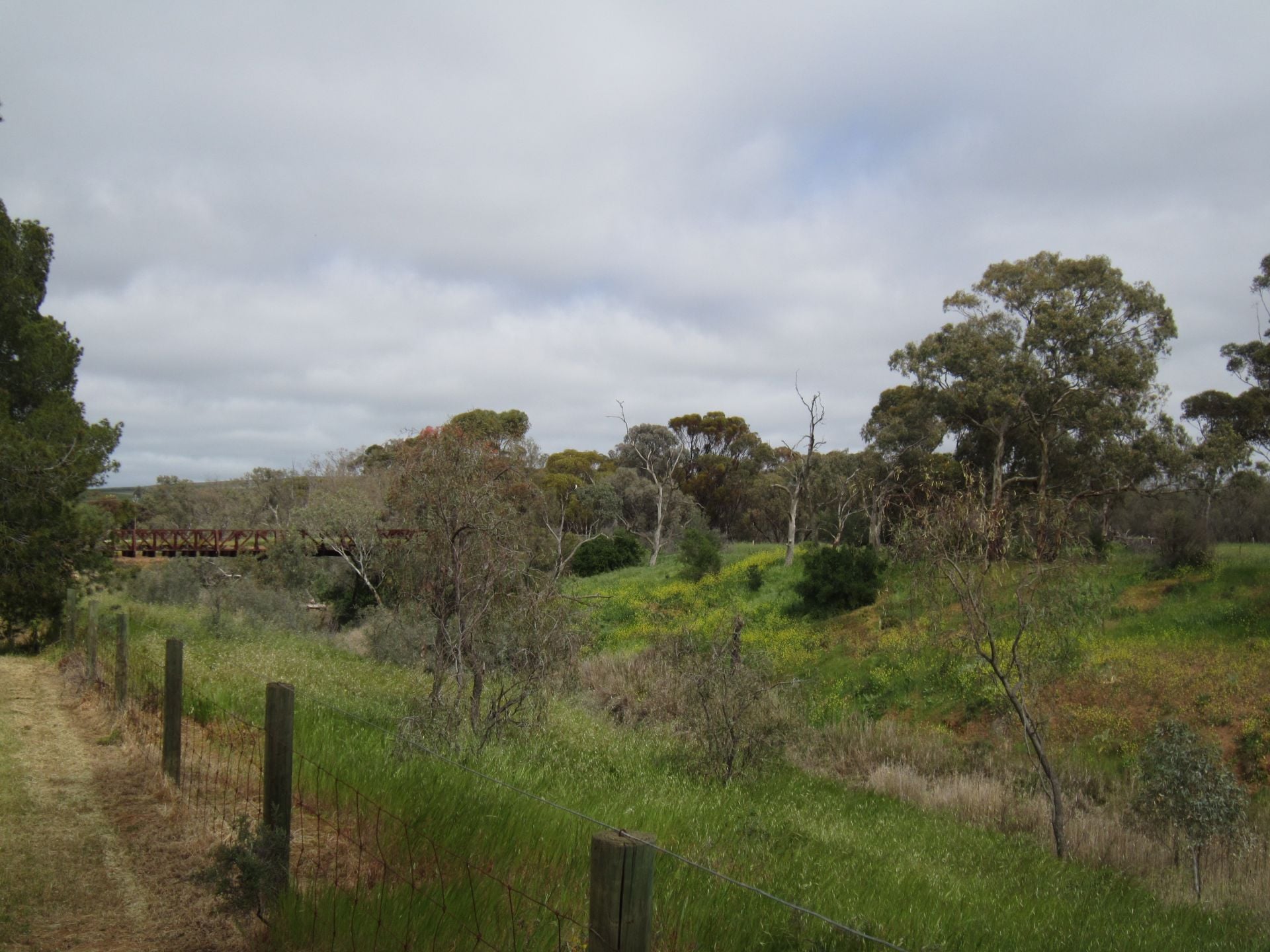 5/17 Moorhouse Street Redhill SA, Redhill - Thumbnail 8