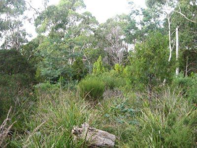 140 Stony Rise Road, DEVONPORT, Devonport - Thumbnail 4