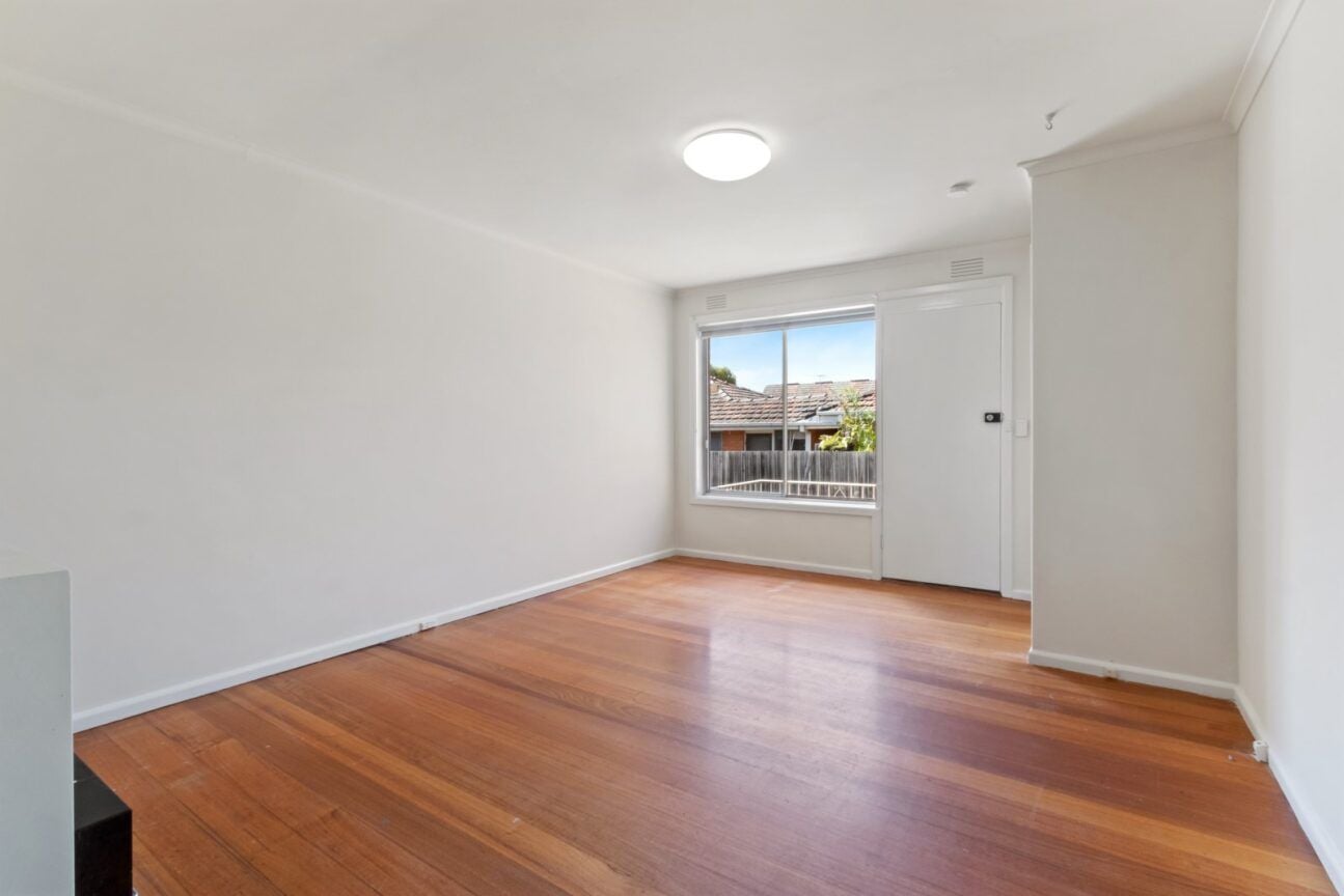 RENOVATED DELIGHT