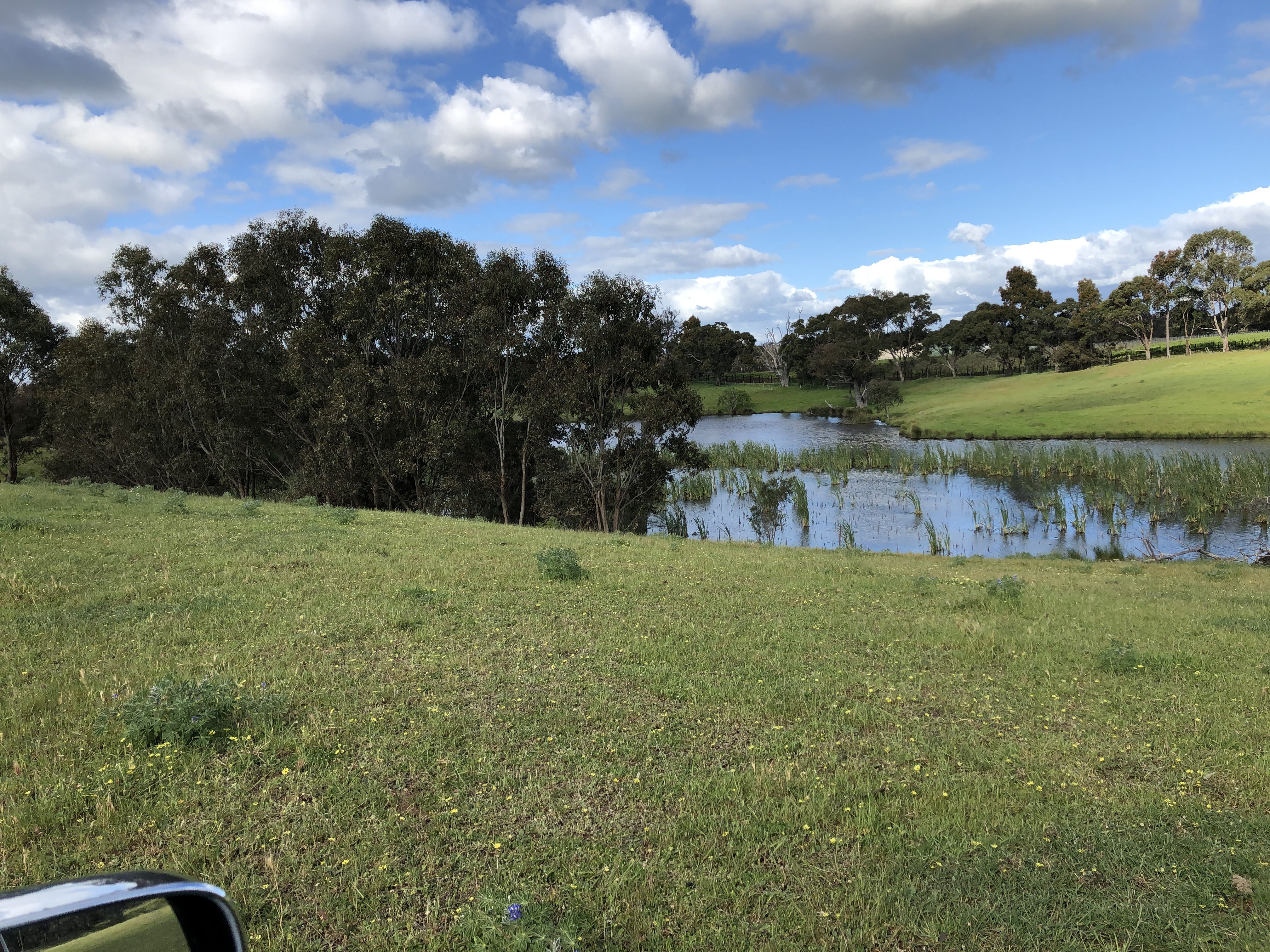 Real Estate For Sale 111/ Mallokup Road Capel , WA