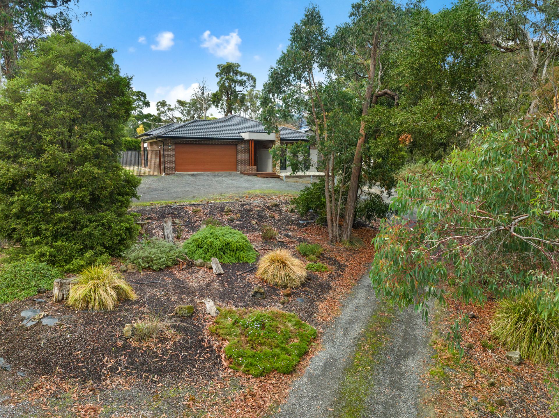 197 Eddy  Avenue, Mount Helen, Mount Helen - Thumbnail 5
