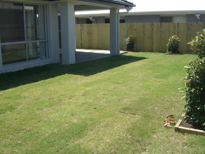 149 Peppermint Crescent SIPPY DOWNS QLD, Sippy Downs - Thumbnail 5