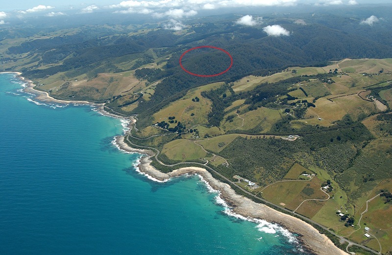 23B & 23E, 100 Leorkes Access (Wongarra), Apollo Bay, VIC, Bay, - Thumbnail 2