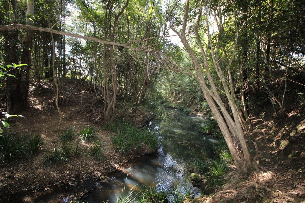 449 Bril Bril Road, ROLLANDS PLAINS NSW 2441