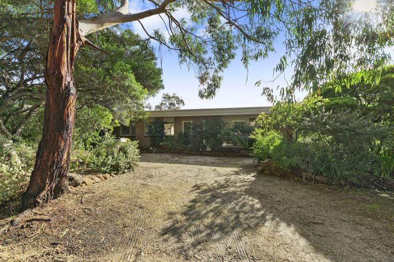 3 Fernald Avenue, Anglesea, VIC, Anglesea - Thumbnail 2