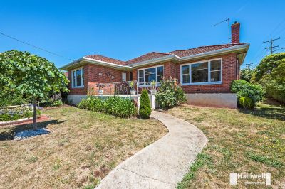 3
 
 
 
  
 
 
 1
 
 
 
  
 
 
 1
 
 
 
 
 
 
 
 17 Ronald Street, Devonport TAS 7310, Devonport - Thumbnail 2