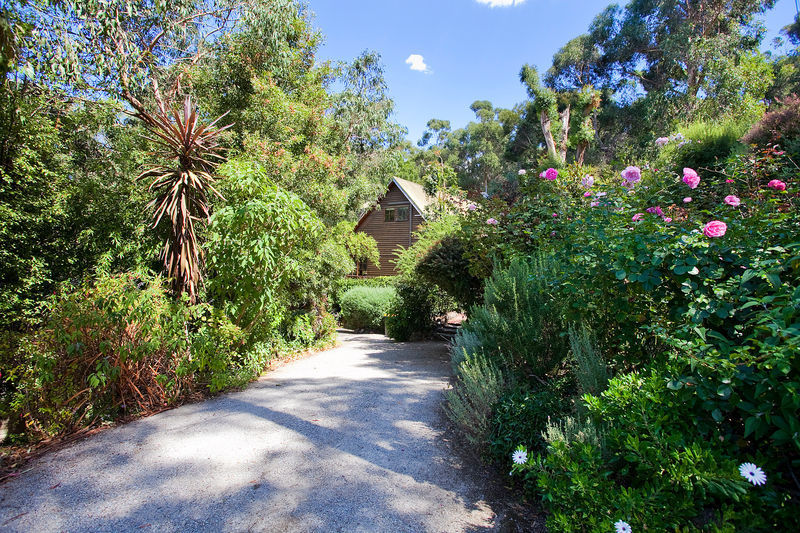 35 Richardson Boulevard, Lorne, VIC, Lorne - Thumbnail 2