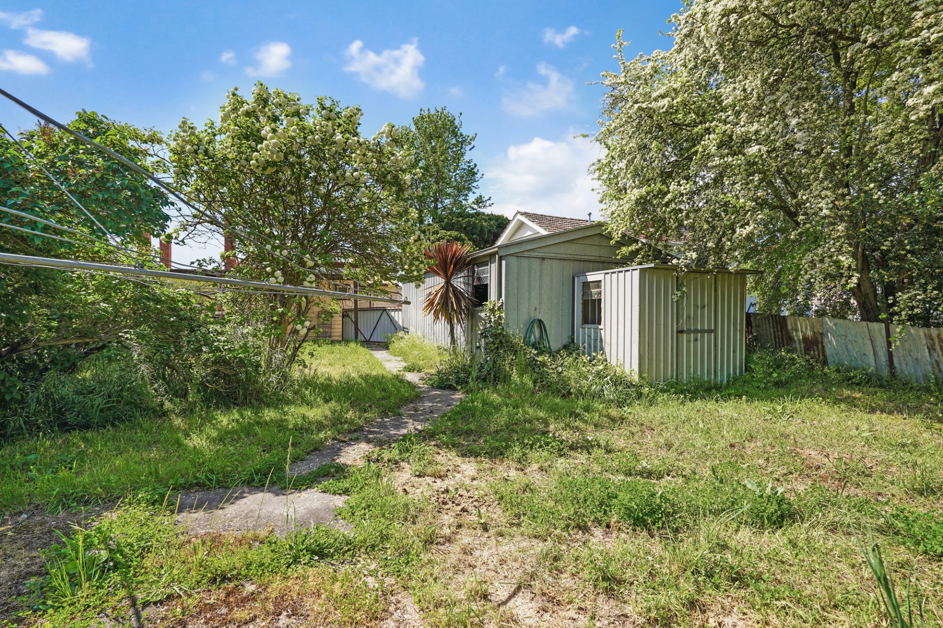 418 Eureka Street, Ballarat East, Ballarat East - Thumbnail 3