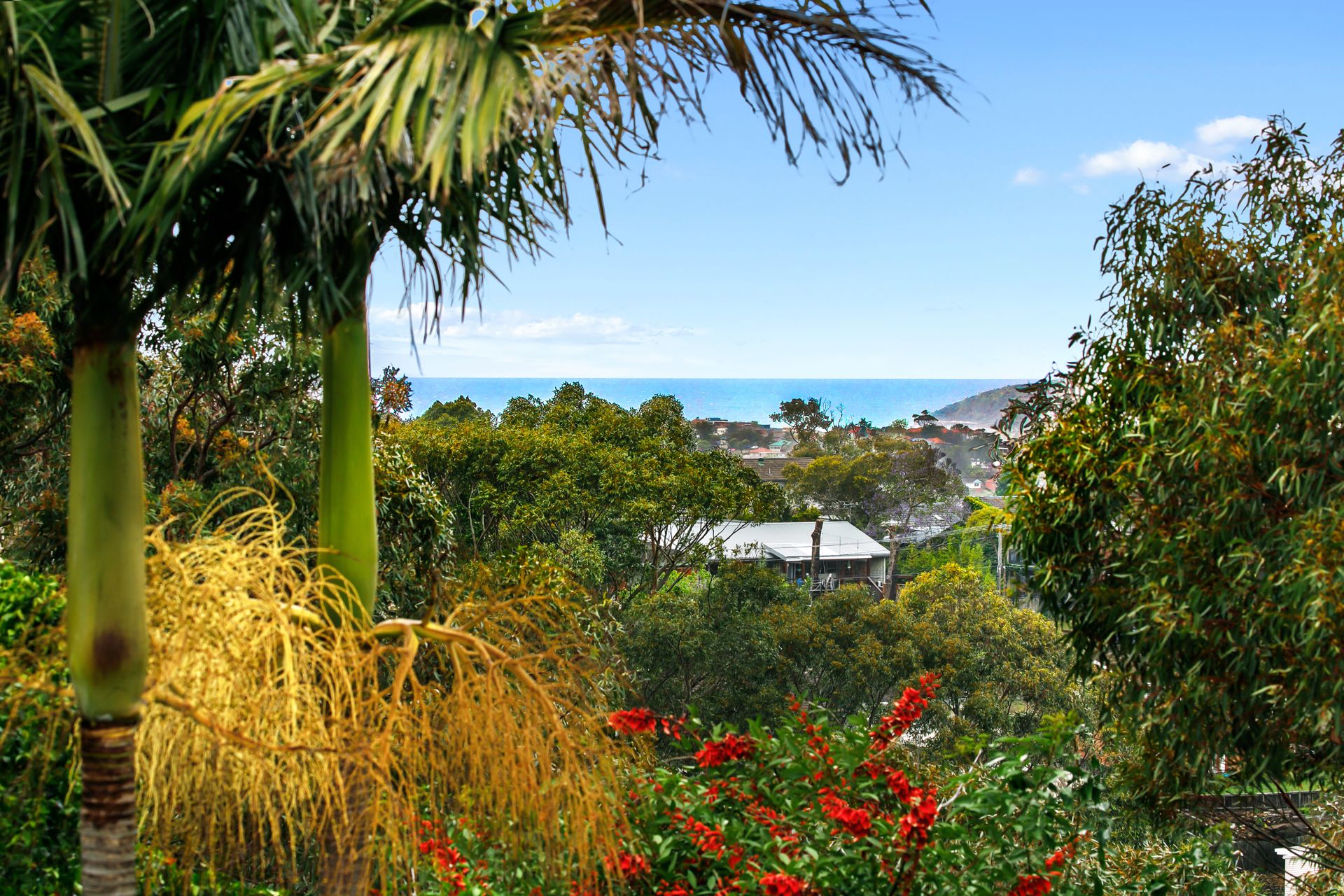 Real Estate For Sale 53 Mary Street Beacon Hill , NSW