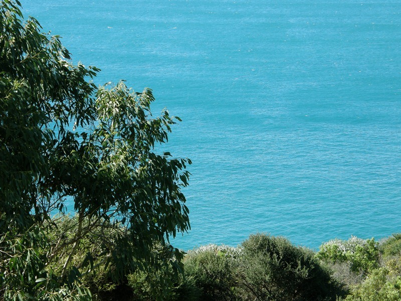 119 Knowledge Track (Yuulong), Apollo Bay, VIC, Apollo Bay - Thumbnail 3