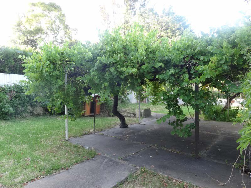 5 Free Street Norwood 5067