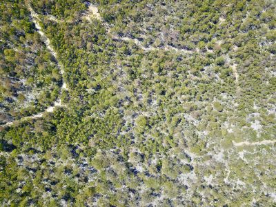 Lot 1 Little Den Road, Millers Bluff, Millers Bluff - Thumbnail 7
