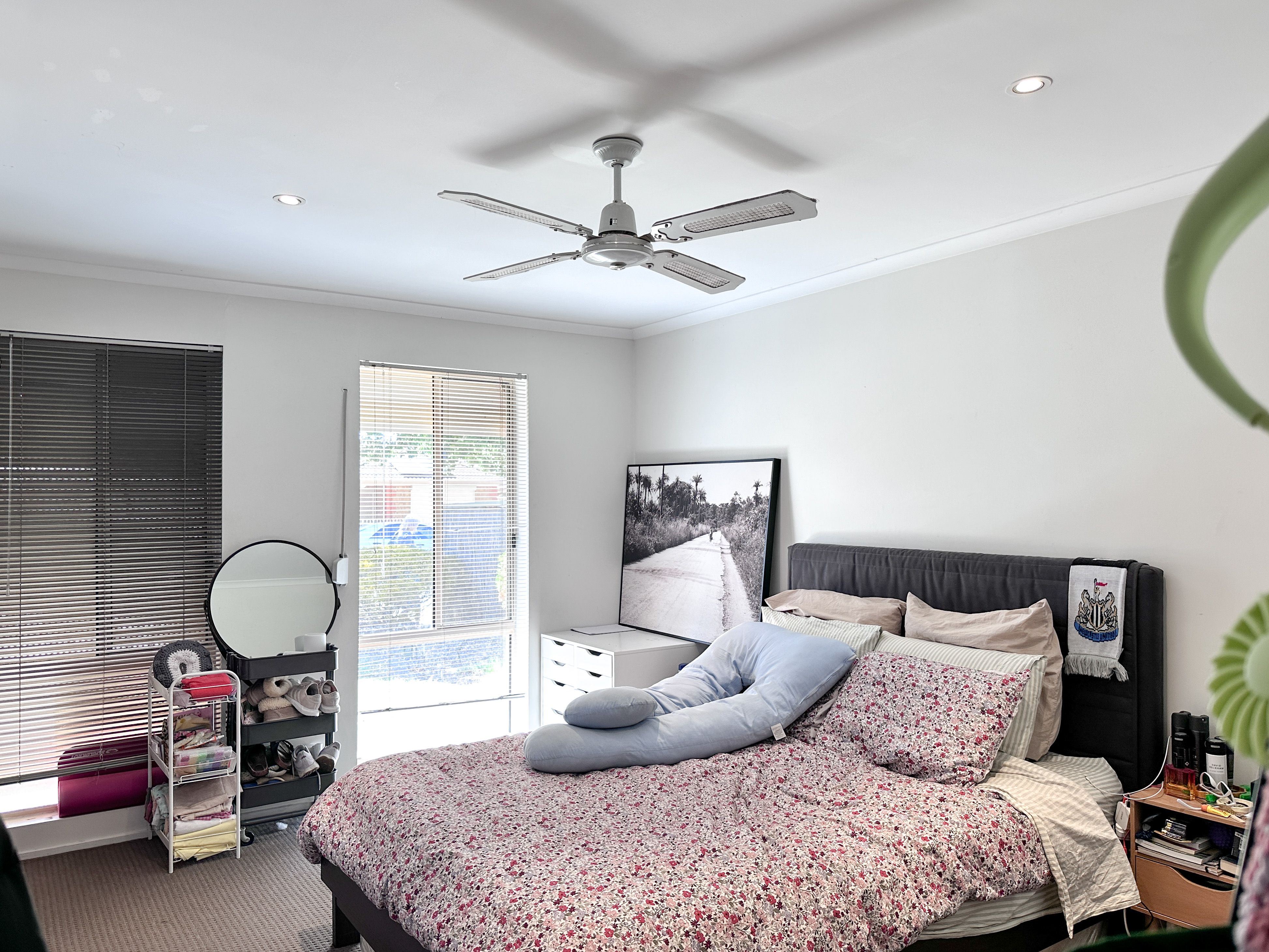 22 Mellor Avenue Lockleys 5032
