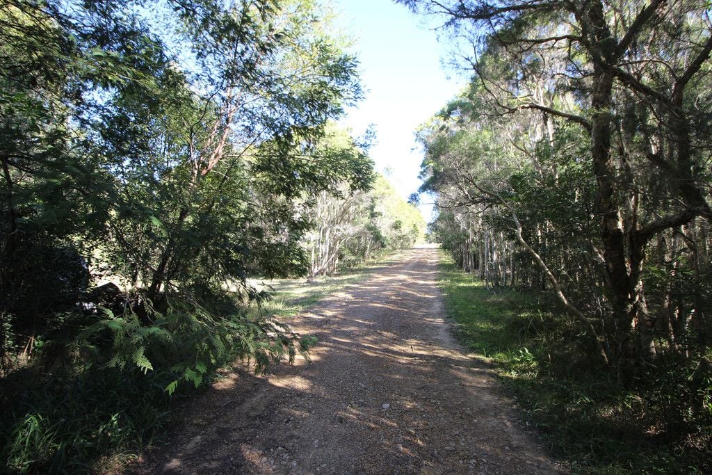 444 Upper Rollands Plains Road, UPPER ROLLANDS PLAINS NSW 2441