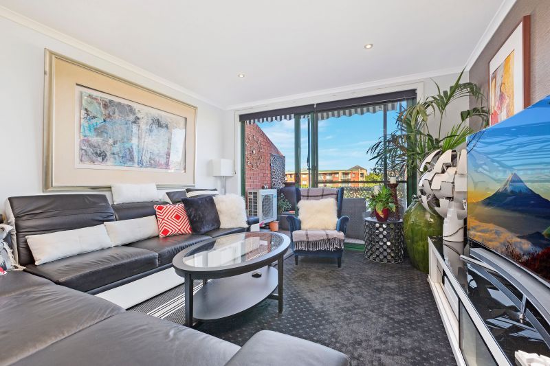 Tree top views within inner city enclave