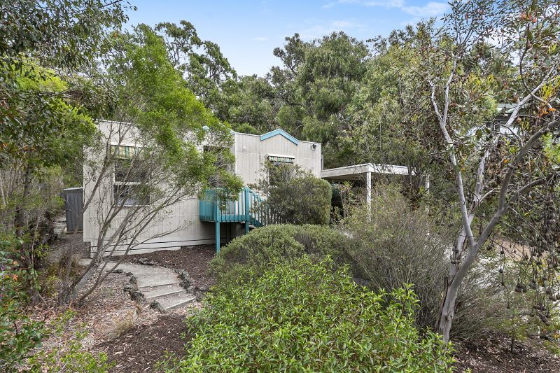 60 Niblick Street, Anglesea, VIC, Anglesea - Thumbnail 6