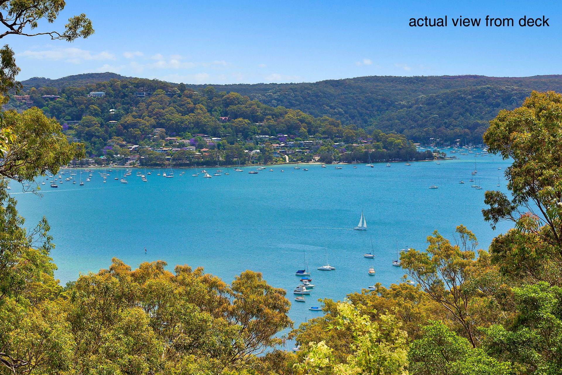 59 Loombah Street Bilgola NSW 2107, Bilgola - Thumbnail 5